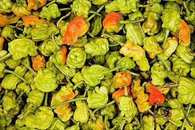 称霸黄泉归来！制作人介绍新作《黄泉之旅》设计细节